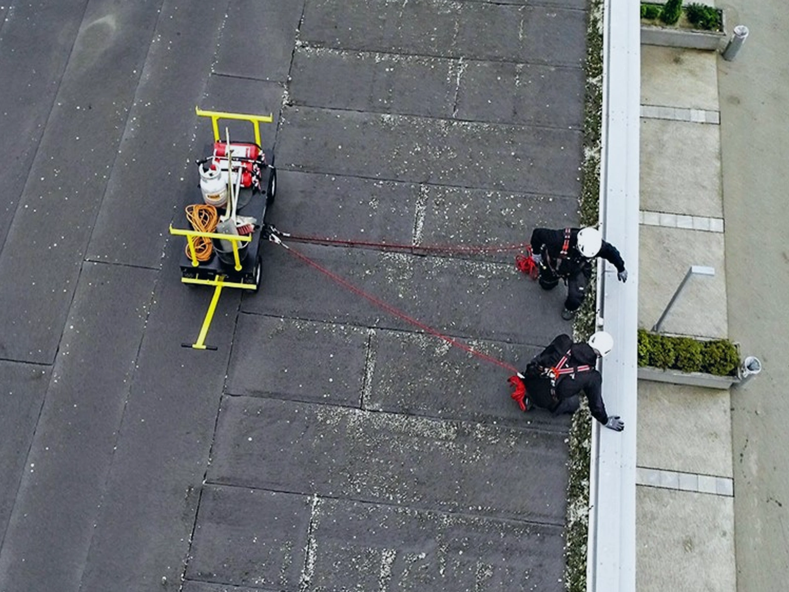 Medarbejdere sikret med liner til Safety Bull mobil faldsikring på fladt tag